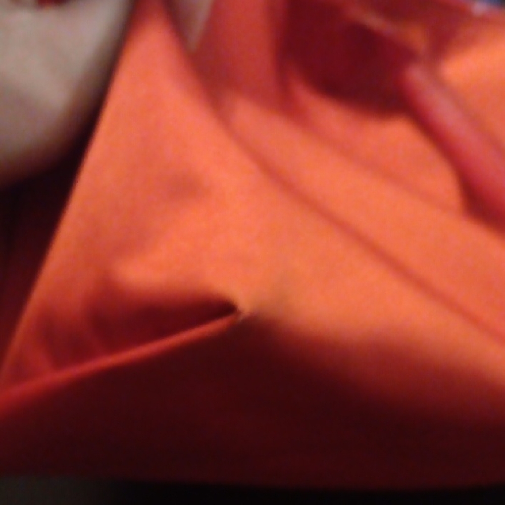 Longchamp Le Pliage Red Tote Bag EUC - Picture 11 of 14